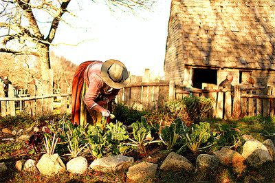 [普利茅斯种植园/普利茅斯谷物工厂电子门票] Plimoth Plantation/Plimoth Grist Mill Combo